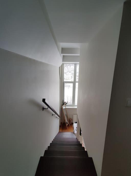 Apartament River Vilnele View