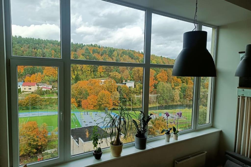River Vilnele View *